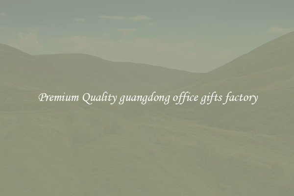 Premium Quality guangdong office gifts factory