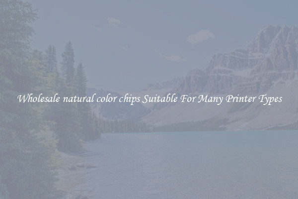 Wholesale natural color chips Suitable For Many Printer Types