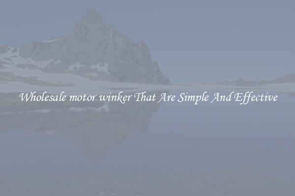 Wholesale motor winker That Are Simple And Effective