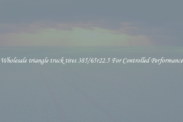 Wholesale triangle truck tires 385/65r22.5 For Controlled Performance