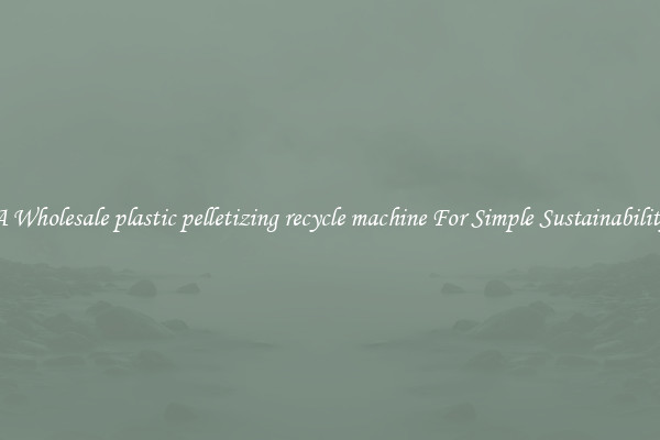  A Wholesale plastic pelletizing recycle machine For Simple Sustainability 