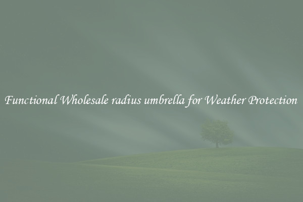 Functional Wholesale radius umbrella for Weather Protection 