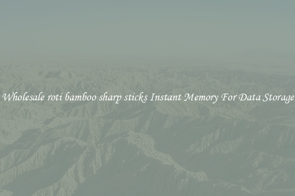 Wholesale roti bamboo sharp sticks Instant Memory For Data Storage