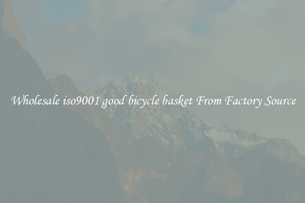 Wholesale iso9001 good bicycle basket From Factory Source