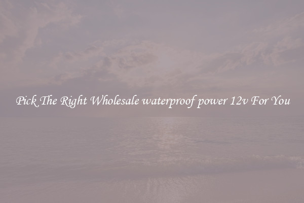 Pick The Right Wholesale waterproof power 12v For You