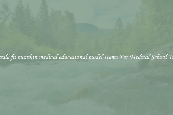 Wholesale fa manikin medical educational model Items For Medical School Training