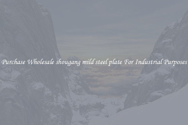 Purchase Wholesale shougang mild steel plate For Industrial Purposes