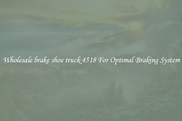 Wholesale brake shoe truck 4518 For Optimal Braking System