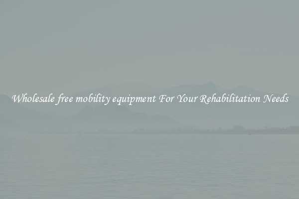 Wholesale free mobility equipment For Your Rehabilitation Needs