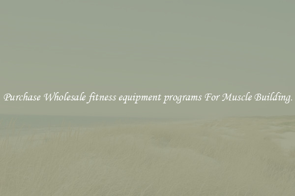 Purchase Wholesale fitness equipment programs For Muscle Building.