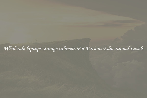 Wholesale laptops storage cabinets For Various Educational Levels