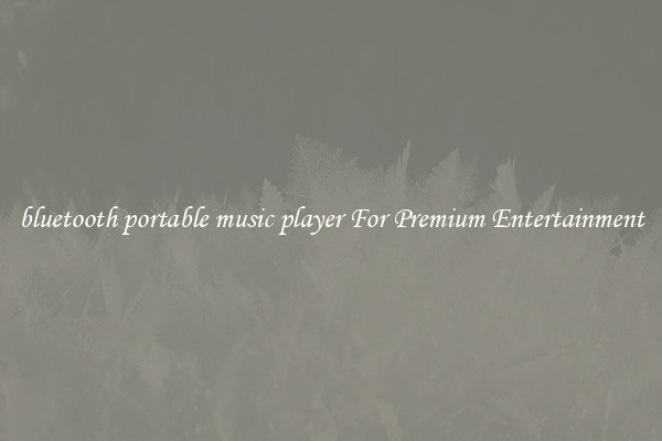 bluetooth portable music player For Premium Entertainment
