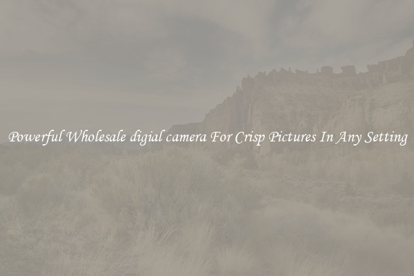 Powerful Wholesale digial camera For Crisp Pictures In Any Setting