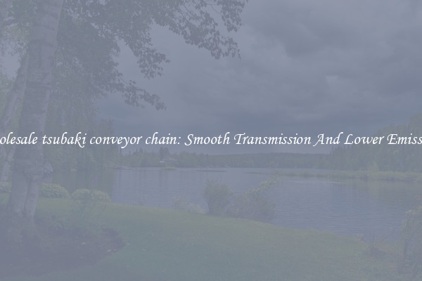 Wholesale tsubaki conveyor chain: Smooth Transmission And Lower Emissions