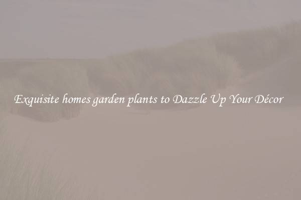 Exquisite homes garden plants to Dazzle Up Your Décor  