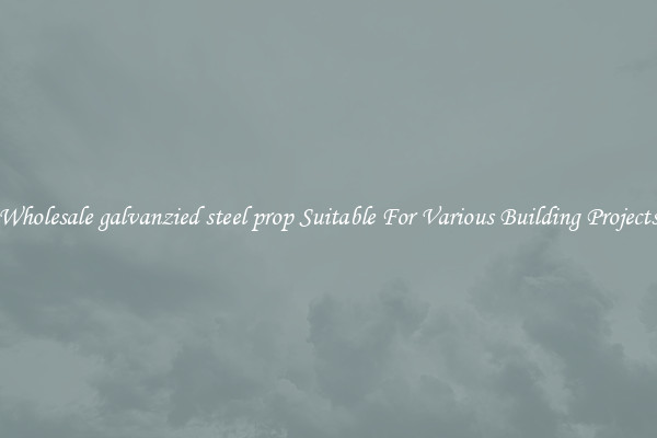 Wholesale galvanzied steel prop Suitable For Various Building Projects