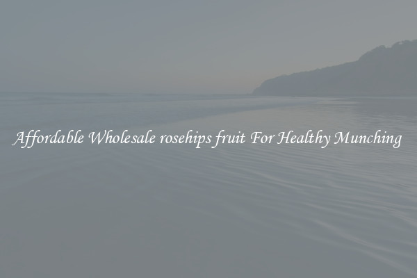 Affordable Wholesale rosehips fruit For Healthy Munching 