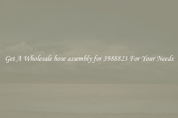 Get A Wholesale hose assembly for 3988823 For Your Needs