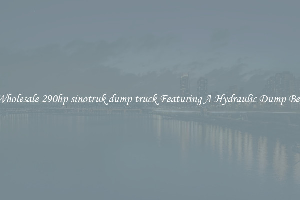 Wholesale 290hp sinotruk dump truck Featuring A Hydraulic Dump Bed