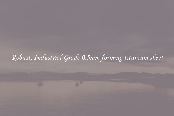 Robust, Industrial Grade 0.5mm forming titanium sheet