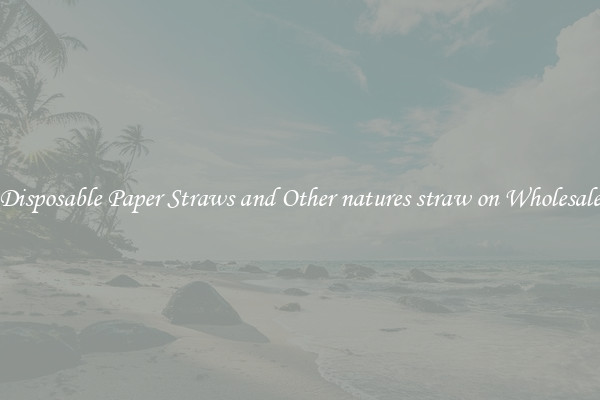 Disposable Paper Straws and Other natures straw on Wholesale